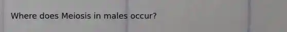 Where does Meiosis in males occur?