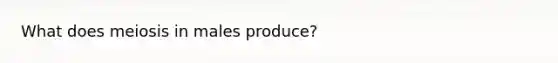 What does meiosis in males produce?