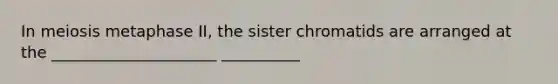 In meiosis metaphase II, the sister chromatids are arranged at the _____________________ __________