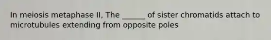 In meiosis metaphase II, The ______ of sister chromatids attach to microtubules extending from opposite poles