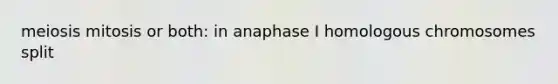 meiosis mitosis or both: in anaphase I homologous chromosomes split