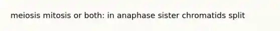 meiosis mitosis or both: in anaphase sister chromatids split