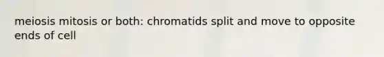 meiosis mitosis or both: chromatids split and move to opposite ends of cell