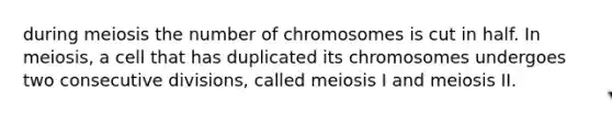 during meiosis the number of chromosomes is cut in half. In meiosis, a cell that has duplicated its chromosomes undergoes two consecutive divisions, called meiosis I and meiosis II.