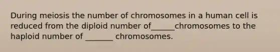 During meiosis the number of chromosomes in a human cell is reduced from the diploid number of______chromosomes to the haploid number of _______ chromosomes.