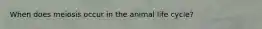 When does meiosis occur in the animal life cycle?