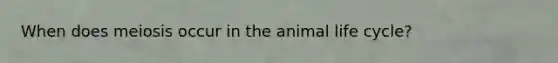 When does meiosis occur in the animal life cycle?