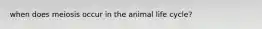 when does meiosis occur in the animal life cycle?