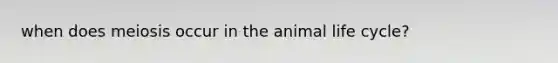when does meiosis occur in the animal life cycle?