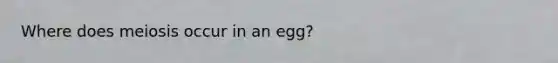 Where does meiosis occur in an egg?