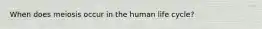 When does meiosis occur in the human life cycle?