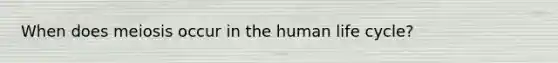 When does meiosis occur in the human life cycle?