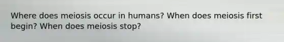 Where does meiosis occur in humans? When does meiosis first begin? When does meiosis stop?