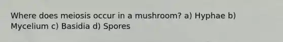 Where does meiosis occur in a mushroom? a) Hyphae b) Mycelium c) Basidia d) Spores