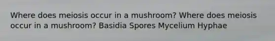 Where does meiosis occur in a mushroom? Where does meiosis occur in a mushroom? Basidia Spores Mycelium Hyphae