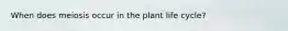 When does meiosis occur in the plant life cycle?