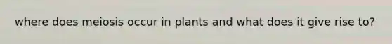 where does meiosis occur in plants and what does it give rise to?