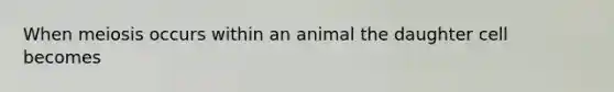 When meiosis occurs within an animal the daughter cell becomes