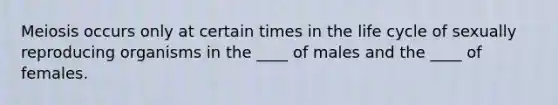 Meiosis occurs only at certain times in the life cycle of sexually reproducing organisms in the ____ of males and the ____ of females.