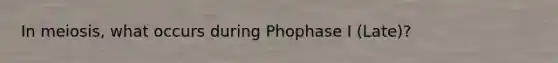 In meiosis, what occurs during Phophase I (Late)?