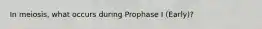 In meiosis, what occurs during Prophase I (Early)?