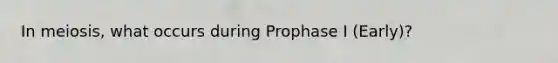 In meiosis, what occurs during Prophase I (Early)?