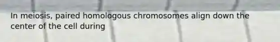 In meiosis, paired homologous chromosomes align down the center of the cell during