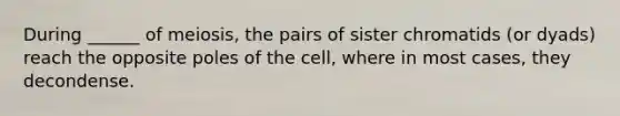 During ______ of meiosis, the pairs of sister chromatids (or dyads) reach the opposite poles of the cell, where in most cases, they decondense.