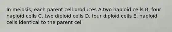 In meiosis, each parent cell produces A.two haploid cells B. four haploid cells C. two diploid cells D. four diploid cells E. haploid cells identical to the parent cell