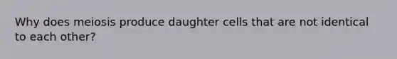 Why does meiosis produce daughter cells that are not identical to each other?