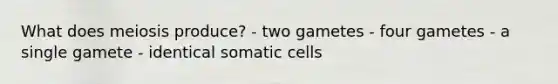 What does meiosis produce? - two gametes - four gametes - a single gamete - identical somatic cells