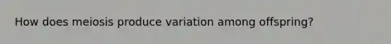 How does meiosis produce variation among offspring?