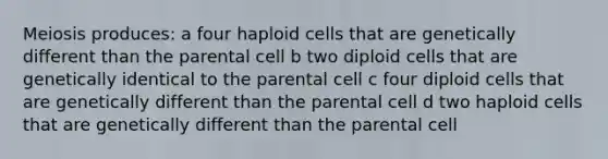 Meiosis produces: a four haploid cells that are genetically different than the parental cell b two diploid cells that are genetically identical to the parental cell c four diploid cells that are genetically different than the parental cell d two haploid cells that are genetically different than the parental cell