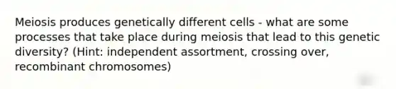 Meiosis produces genetically different cells - what are some processes that take place during meiosis that lead to this genetic diversity? (Hint: independent assortment, crossing over, recombinant chromosomes)