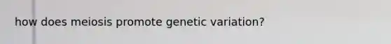 how does meiosis promote genetic variation?