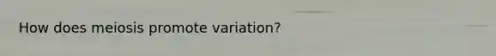 How does meiosis promote variation?