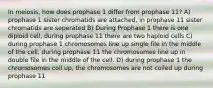 In meiosis, how does prophase 1 differ from prophase 11? A) prophase 1 sister chromatids are attached, in prophase 11 sister chromatids are seperated B) During Prophase 1 there is one diploid cell, during prophase 11 there are two haploid cells C) during prophase 1 chromosomes line up single file in the middle of the cell, during prophase 11 the chromosomes line up in double file in the middle of the cell. D) during prophase 1 the chromosomes coil up, the chromosomes are not coiled up during prophase 11