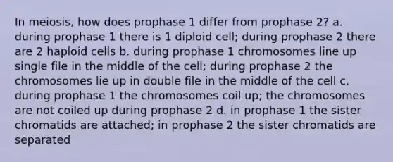 In meiosis, how does prophase 1 differ from prophase 2? a. during prophase 1 there is 1 diploid cell; during prophase 2 there are 2 haploid cells b. during prophase 1 chromosomes line up single file in the middle of the cell; during prophase 2 the chromosomes lie up in double file in the middle of the cell c. during prophase 1 the chromosomes coil up; the chromosomes are not coiled up during prophase 2 d. in prophase 1 the sister chromatids are attached; in prophase 2 the sister chromatids are separated