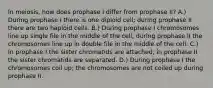 In meiosis, how does prophase I differ from prophase II? A.) During prophase I there is one diploid cell; during prophase II there are two haploid cells. B.) During prophase I chromosomes line up single file in the middle of the cell; during prophase II the chromosomes line up in double file in the middle of the cell. C.) In prophase I the sister chromatids are attached; in prophase II the sister chromatids are separated. D.) During prophase I the chromosomes coil up; the chromosomes are not coiled up during prophase II.