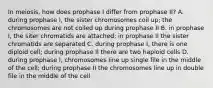 In meiosis, how does prophase I differ from prophase II? A. during prophase I, the sister chromosomes coil up; the chromosomes are not coiled up during prophase II B. in prophase I, the siter chromatids are attached; in prophase II the sister chromatids are separated C. during prophase I, there is one diploid cell; during prophase II there are two haploid cells D. during prophase I, chromosomes line up single file in the middle of the cell; during prophase II the chromosomes line up in double file in the middle of the cell