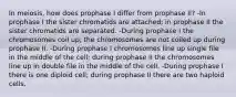 In meiosis, how does prophase I differ from prophase II? -In prophase I the sister chromatids are attached; in prophase II the sister chromatids are separated. -During prophase I the chromosomes coil up; the chromosomes are not coiled up during prophase II. -During prophase I chromosomes line up single file in the middle of the cell; during prophase II the chromosomes line up in double file in the middle of the cell. -During prophase I there is one diploid cell; during prophase II there are two haploid cells.