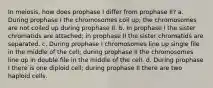 In meiosis, how does prophase I differ from prophase II? a. During prophase I the chromosomes coil up; the chromosomes are not coiled up during prophase II. b. In prophase I the sister chromatids are attached; in prophase II the sister chromatids are separated. c. During prophase I chromosomes line up single file in the middle of the cell; during prophase II the chromosomes line up in double file in the middle of the cell. d. During prophase I there is one diploid cell; during prophase II there are two haploid cells.