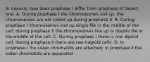 In meiosis, how does prophase I differ from prophase II? Select one: A. During prophase I the chromosomes coil up; the chromosomes are not coiled up during prophase II. B. During prophase I chromosomes line up single file in the middle of the cell; during prophase II the chromosomes line up in double file in the middle of the cell. C. During prophase I there is one diploid cell; during prophase II there are two haploid cells. D. In prophase I the sister chromatids are attached; in prophase II the sister chromatids are separated