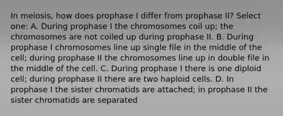 In meiosis, how does prophase I differ from prophase II? Select one: A. During prophase I the chromosomes coil up; the chromosomes are not coiled up during prophase II. B. During prophase I chromosomes line up single file in the middle of the cell; during prophase II the chromosomes line up in double file in the middle of the cell. C. During prophase I there is one diploid cell; during prophase II there are two haploid cells. D. In prophase I the sister chromatids are attached; in prophase II the sister chromatids are separated