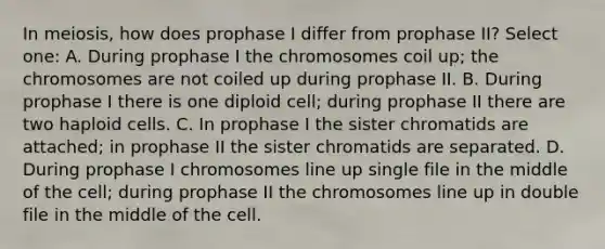 In meiosis, how does prophase I differ from prophase II? Select one: A. During prophase I the chromosomes coil up; the chromosomes are not coiled up during prophase II. B. During prophase I there is one diploid cell; during prophase II there are two haploid cells. C. In prophase I the sister chromatids are attached; in prophase II the sister chromatids are separated. D. During prophase I chromosomes line up single file in the middle of the cell; during prophase II the chromosomes line up in double file in the middle of the cell.