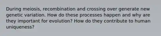 During meiosis, recombination and crossing over generate new genetic variation. How do these processes happen and why are they important for evolution? How do they contribute to human uniqueness?