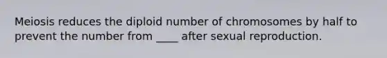 Meiosis reduces the diploid number of chromosomes by half to prevent the number from ____ after sexual reproduction.
