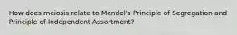 How does meiosis relate to Mendel's Principle of Segregation and Principle of Independent Assortment?