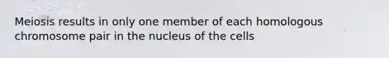 Meiosis results in only one member of each homologous chromosome pair in the nucleus of the cells