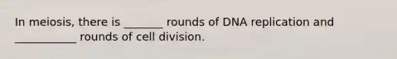 In meiosis, there is _______ rounds of DNA replication and ___________ rounds of cell division.